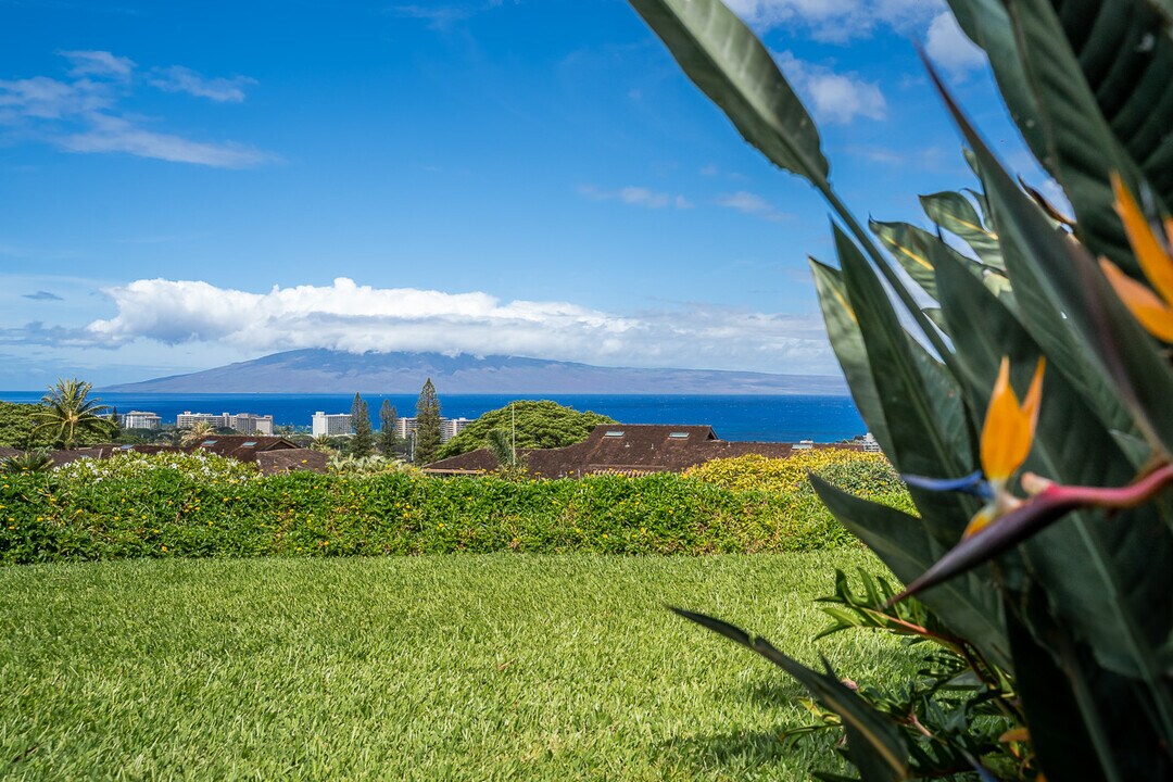 50 Puu Anoano St in Lahaina, HI - Building Photo