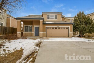 12450 S Hollow Creek Ct in Parker, CO - Building Photo