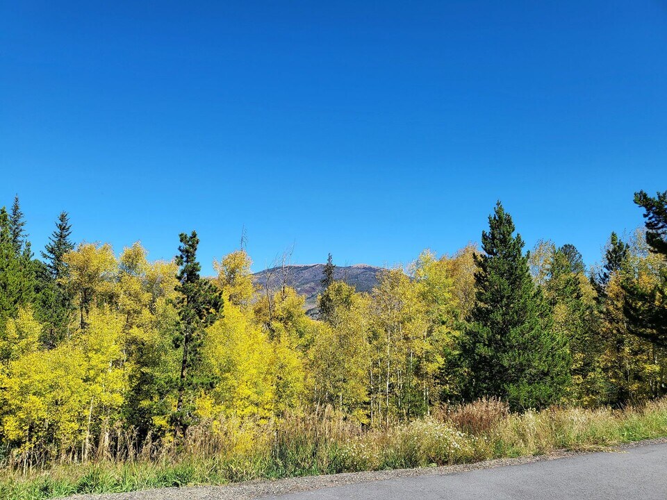 3712 Silverheels Dr in Silverthorne, CO - Building Photo
