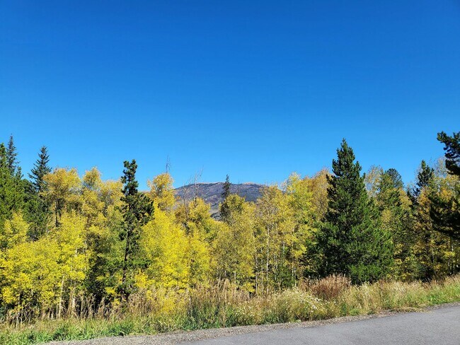 property at 3712 Silverheels Dr