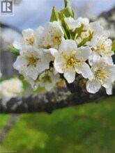 609 Woolgrass Ave in Waterloo, ON - Building Photo - Building Photo