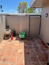 10141 W Campana Dr in Sun City, AZ - Building Photo - Building Photo