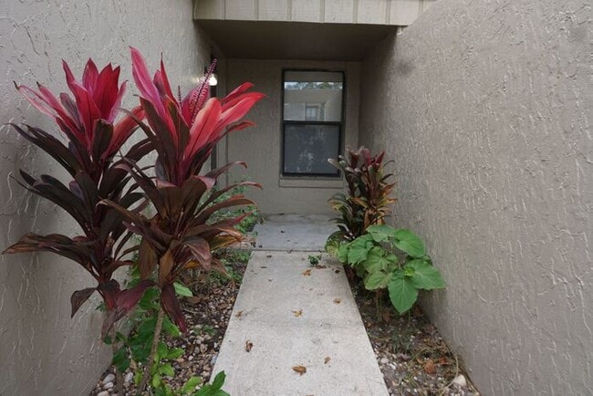 8356 Windypine Ln in Jacksonville, FL - Building Photo - Building Photo