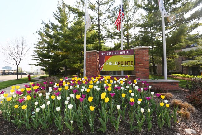 Fieldpointe of Schaumburg photo'