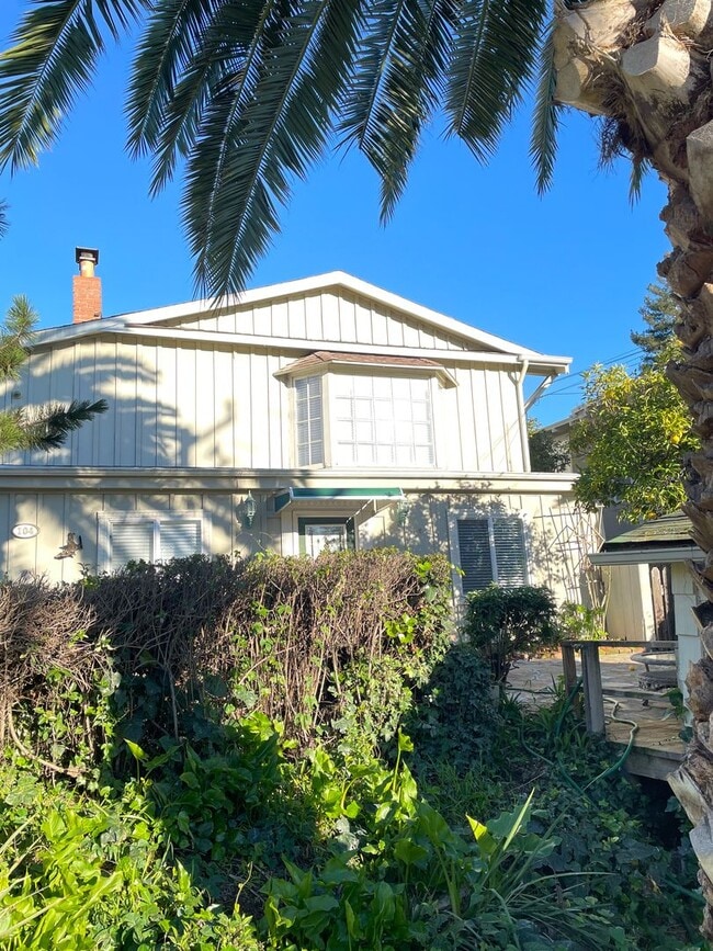 104 Olive Ave in Piedmont, CA - Building Photo - Building Photo