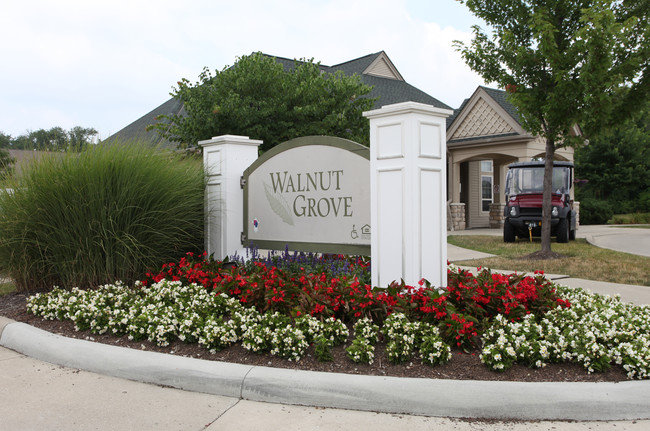 Walnut Grove Apartments in Blacklick, OH - Foto de edificio - Building Photo