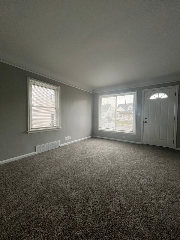 1126 Mill St in Lincoln Park, MI - Building Photo - Building Photo