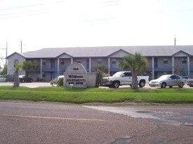 1000 Wild Rose Ln in Brownsville, TX - Building Photo