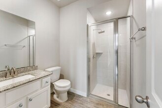 254 Aster View Ct in Montgomery, TX - Building Photo - Building Photo