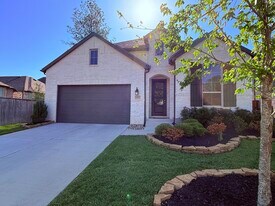 217 Sky Top Dr in Montgomery, TX - Building Photo