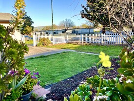 2365 Fallingtree Dr in San Jose, CA - Building Photo