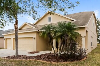 11719 Summer Springs Dr in Riverview, FL - Building Photo - Building Photo