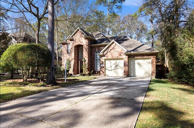 91 S Downy Willow Cir in Spring, TX - Building Photo - Building Photo