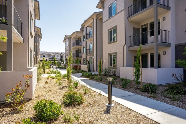 Arrive Vacaville in Vacaville, CA - Building Photo - Building Photo