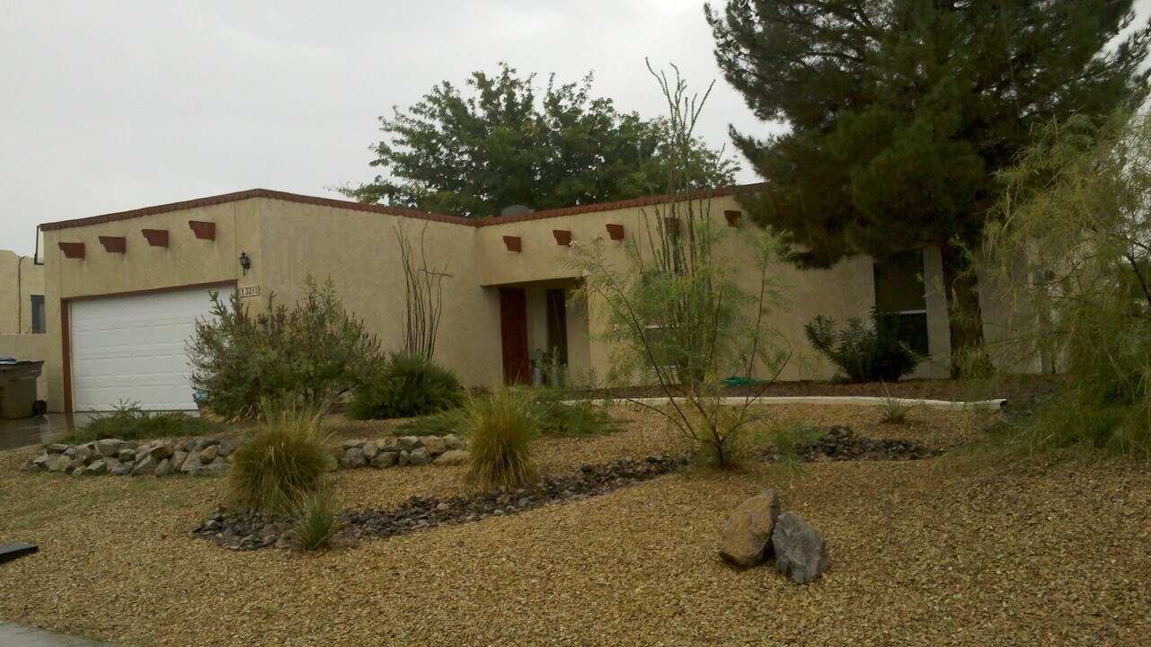 3211 Mercury Ln in Las Cruces, NM - Building Photo