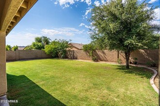 4353 E Torrey Pines Ln in Chandler, AZ - Building Photo - Building Photo