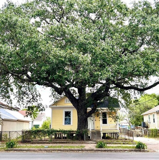 1512 37th St in Galveston, TX - Building Photo - Building Photo