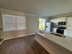 219 Ter Vw Dr in Summerville, SC - Building Photo - Building Photo