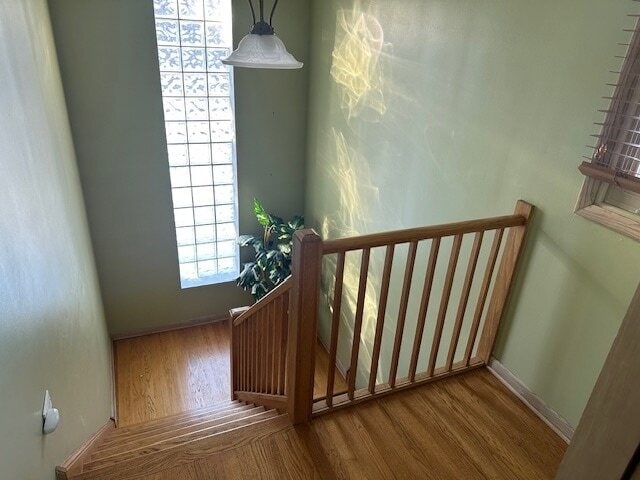 619 N Northwest Hwy, Unit 2 in Park Ridge, IL - Building Photo - Building Photo