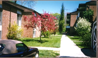 Brookside Apartments in Ann Arbor, MI - Building Photo - Building Photo