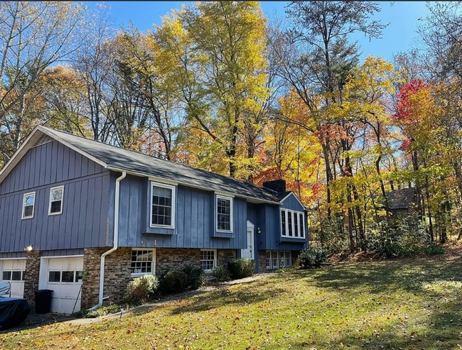 161 Foxhall Rd in Mills River, NC - Building Photo - Building Photo