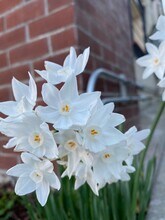 2345 Fulton St in Berkeley, CA - Building Photo - Building Photo