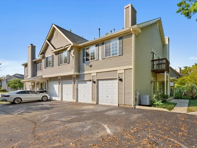 313 Windsor Ct in South Elgin, IL - Building Photo - Building Photo