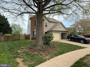 918 Catoctin Cir NE in Leesburg, VA - Building Photo - Building Photo