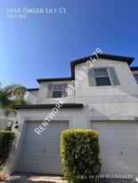 7655 Ginger Lily Ct in Tampa, FL - Building Photo