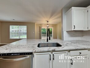 9538 Bird Watch Ln in Charlotte, NC - Building Photo - Building Photo