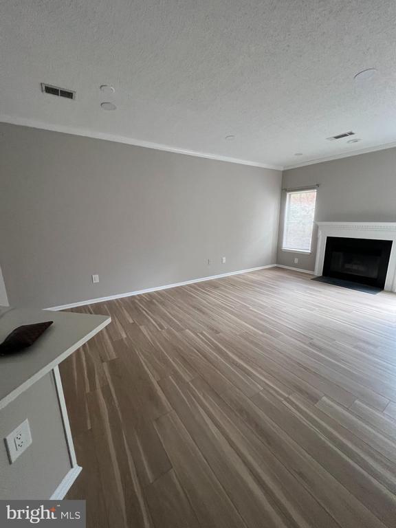 14317 Climbing Rose Way in Centreville, VA - Building Photo - Building Photo