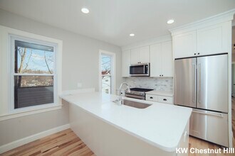 10 Duffley Ct in Chestnut Hill, MA - Building Photo - Building Photo