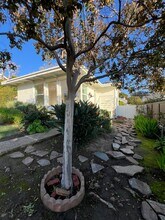 421 Myrtle St in Laguna Beach, CA - Building Photo - Building Photo