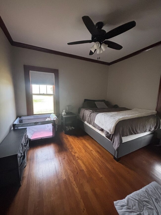 858 S 4th St in Meadow Grove, NE - Building Photo - Building Photo