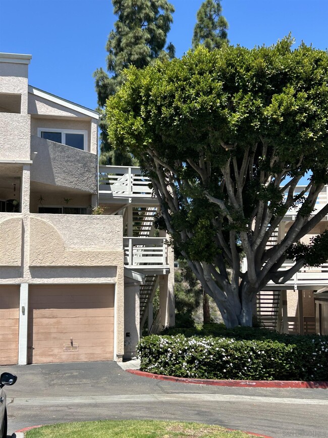 7243 Camino Degrazia in San Diego, CA - Building Photo - Building Photo