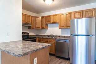 Town & Country Apartments in Urbana, IL - Building Photo