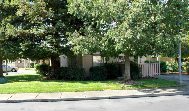 Vigil Light Apartments in Santa Rosa, CA - Building Photo - Building Photo