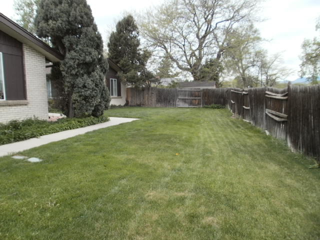 9842 W 22nd Pl in Lakewood, CO - Building Photo