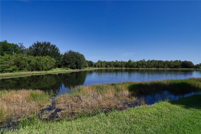 20528 Torre Del Lago St in Estero, FL - Building Photo - Building Photo
