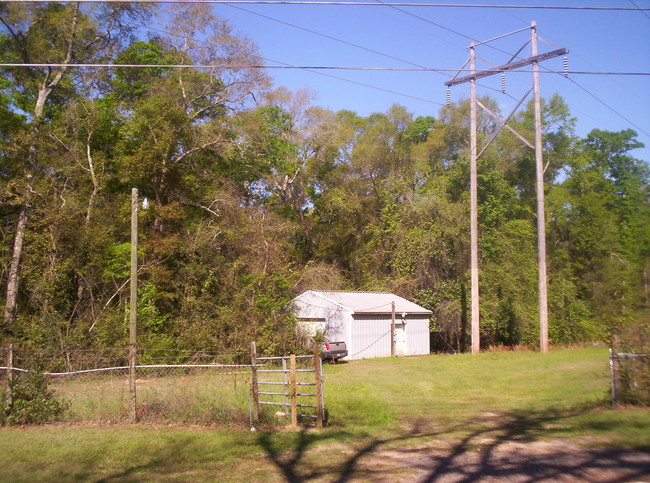 Rankin Avenue in Tallahassee, FL - Foto de edificio - Building Photo