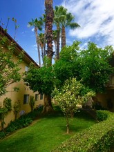 Palm Court in La Habra, CA - Foto de edificio - Building Photo