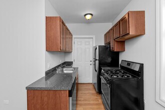 3702 N Pine Grove Ave, Unit 3720.5-E3 in Chicago, IL - Building Photo - Building Photo