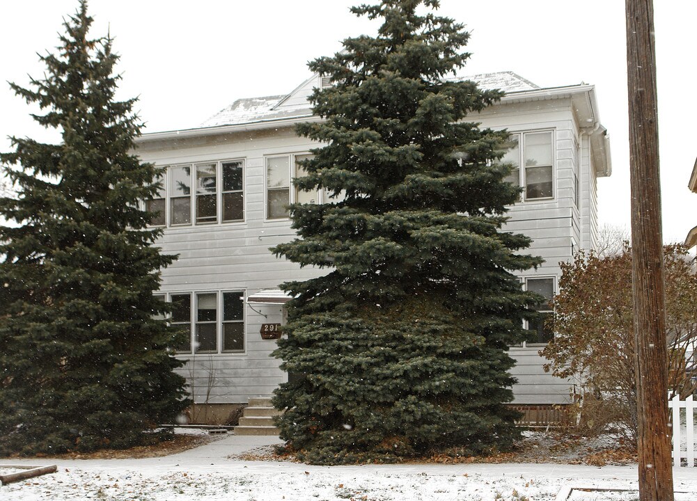 289 Harrison Ave in St. Paul, MN - Foto de edificio
