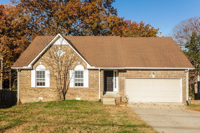 property at 1052 Blue Mountain Ln