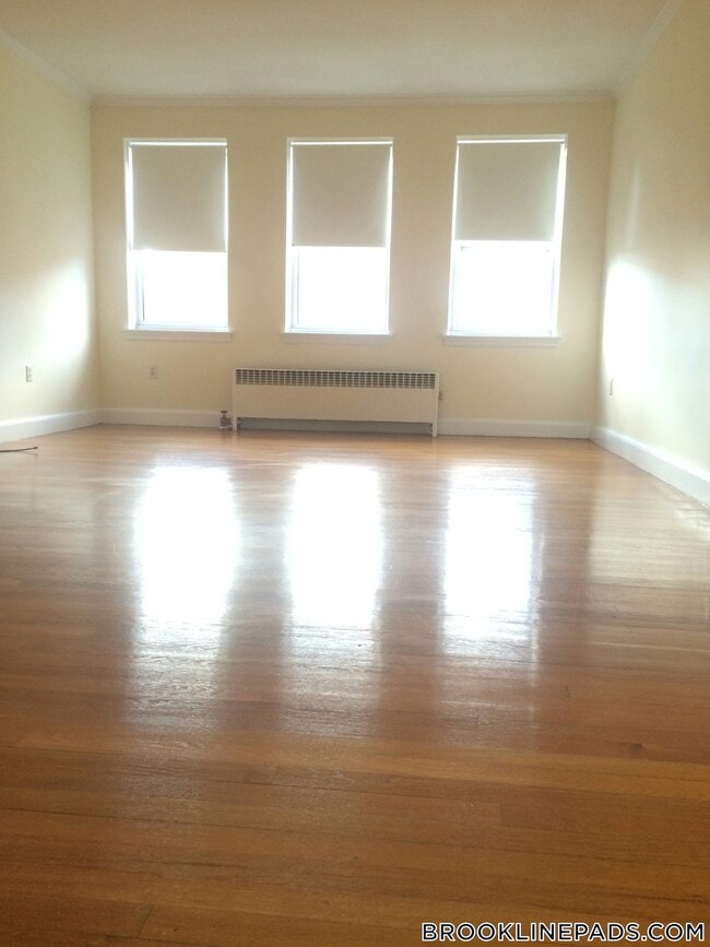 37 Auburn St, Unit 6 in Brookline, MA - Building Photo - Building Photo