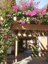 6362 Rancho Mission Rd, Unit 701 in San Diego, CA - Building Photo - Building Photo