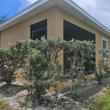 19251 Tangerine Rd in Ft. Myers, FL - Building Photo - Building Photo