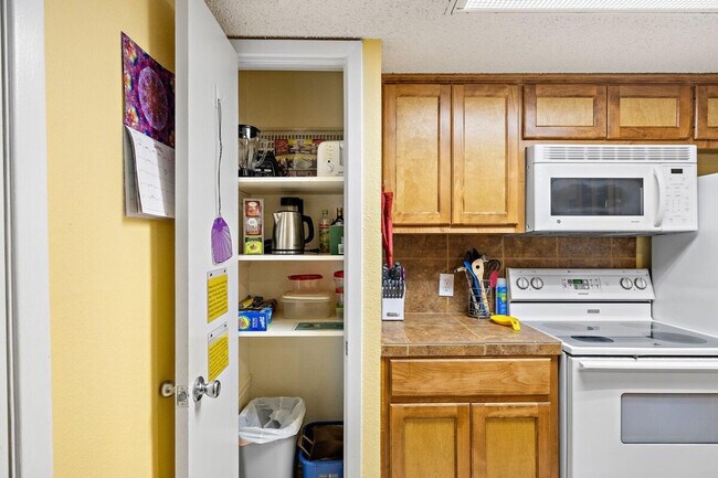 2204 Trailside Dr in Austin, TX - Building Photo - Building Photo