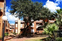 Chestnut Hill photo'