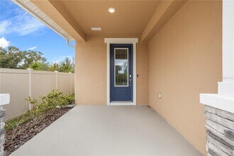 28575 Cozy Creek Dr in Wesley Chapel, FL - Building Photo - Building Photo